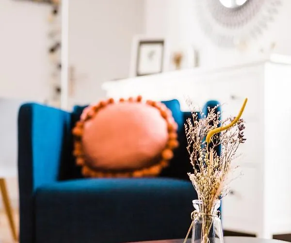 L'intemporel/t2 Lumineux Renove Et Equipe/centre Fontenay-le-Comte